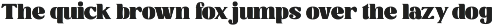 Calter Serif Bold Display Font preview
