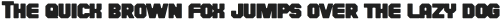 Speedster PitRound otf (400)