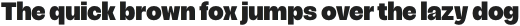 Acaraje ExtraBold otf (700)