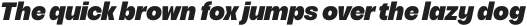 Acaraje ExtraBold Italic otf (700)