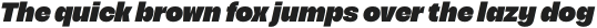 Acaraje Black Italic otf (900)