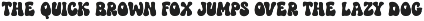 Retro Daisy - Groovy Retro Font preview