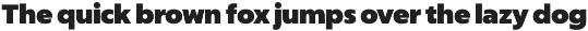 CapturaNowCore Sans Serif Font Black preview