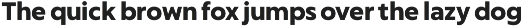 CapturaNowCore Sans Serif Font Bold preview