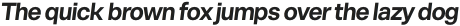 BASKiT Bold Italic otf (700)