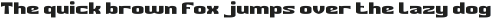 Survivor Life-Light otf (300)