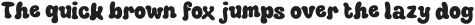 Radey Drawn otf (400)
