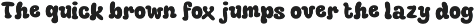 Radey 3D preview