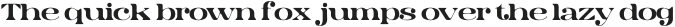 Lamna Drawn otf (400)