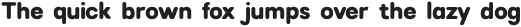 RadeilRounded-Regular otf (400)