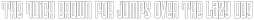 Fox Thinking Outline ttf (100)