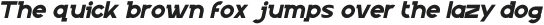 Gekko Italic otf (400)