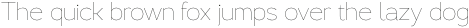 Lusio Thin otf (100)