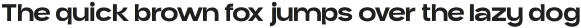 Asfallt Sans Regular otf (400)