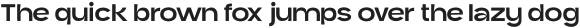 Asfallt Sans Light otf (300)