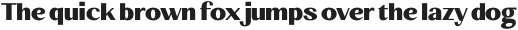 Behind The Nineties Sans Extrabold otf (700)
