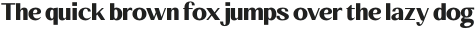 Behind The Nineties Sans Bold otf (700)