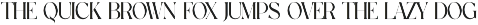 Vogue Elegant Serif Font preview