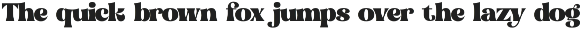 Bogien Seralu Modern Retro Serif preview
