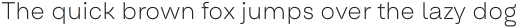 Oddval Text Thin otf (100)