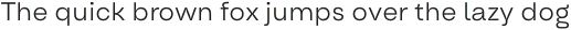 Oddval Text Light otf (300)