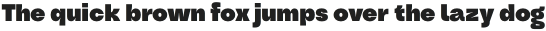 Oddval Text Black otf (900)