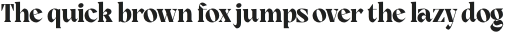 Rogik Extrabold otf (700)