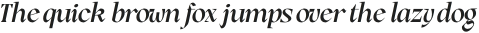 Rogik Medium Italic otf (500)