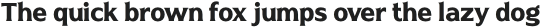Naveid Arabic Bold otf (700)