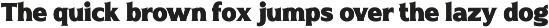 Naveid Elegant Serif Font Black preview