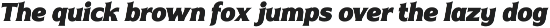 Naveid Elegant Serif Font Black preview