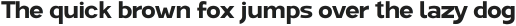 Vortex Sans Bold ttf (700)