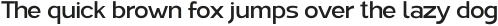 Vortex Sans Medium ttf (500)