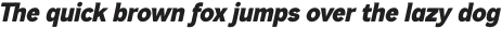 Dexperdy Bold Italic otf (700)