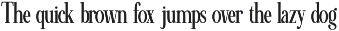 Minims - Serif Retro Family Series preview