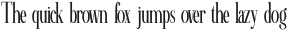 Minims Thin otf (100)