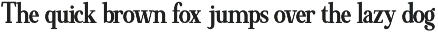 Minims - Serif Retro Family Series preview