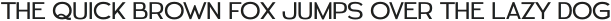 Ralmone Light otf (300)