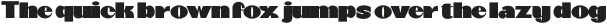 Britans Black otf (900)