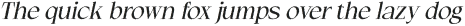 Wikolia Rough Italic otf (400)