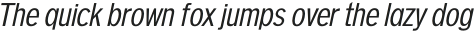 ORGANIC Italic otf (400)