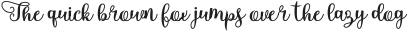 Something Interesting Script Regular ttf (100)