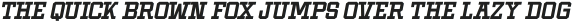 Shine More Italic otf (400)