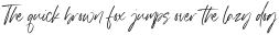 Ghostink otf (400)