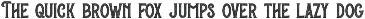 Pizza Gang - Serif & Sans Serif preview