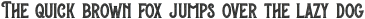 Pizza Gang Serif Texture otf (400)