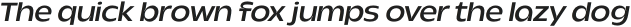 Nova Klasse Light Oblique otf (300)