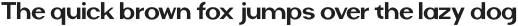 Riamo Sans Thin otf (100)