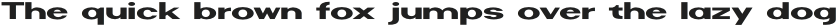 Riamo Sans Expanded otf (400)
