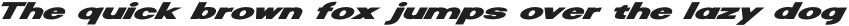 Riamo Sans Black Expanded Italic otf (900)